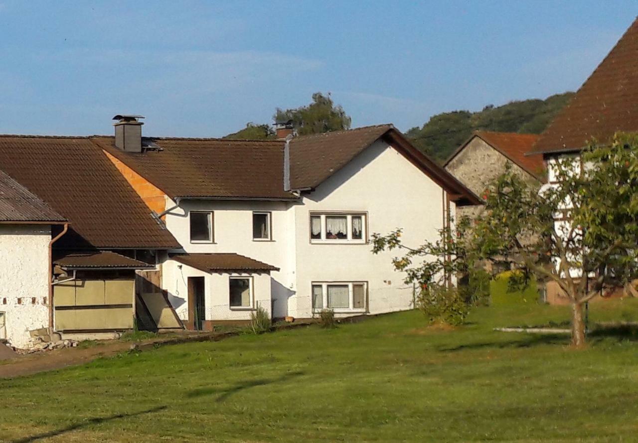 Ferienwohnung Auf Dem Pferdehof Schotten Esterno foto